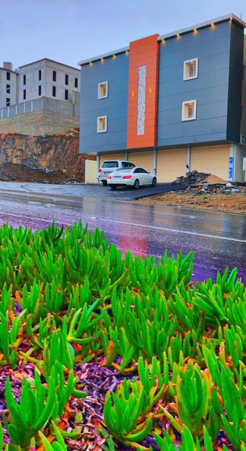 فلامينجو Flamingo Apartment Abha