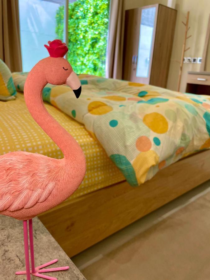 Apartment فلامينجو Flamingo *